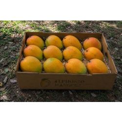 Gift Alphonso Mangoes In Ahmedabad