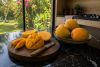 Alphonso Mangoes in Ahmedabad