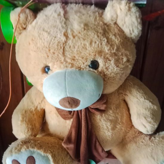 Brown Teddy bear Ahmedabad
