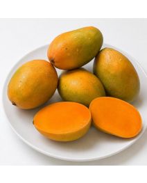 Gift Kesar Mangoes in Ahmedabad