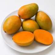 Gift Kesar Mangoes in Ahmedabad