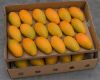 Kesar Mangoes Box - Ahmedabad Delivery