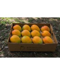 Gift Alphonso Mangoes In Ahmedabad